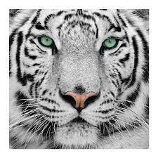 ingeburk38289 Profile Picture